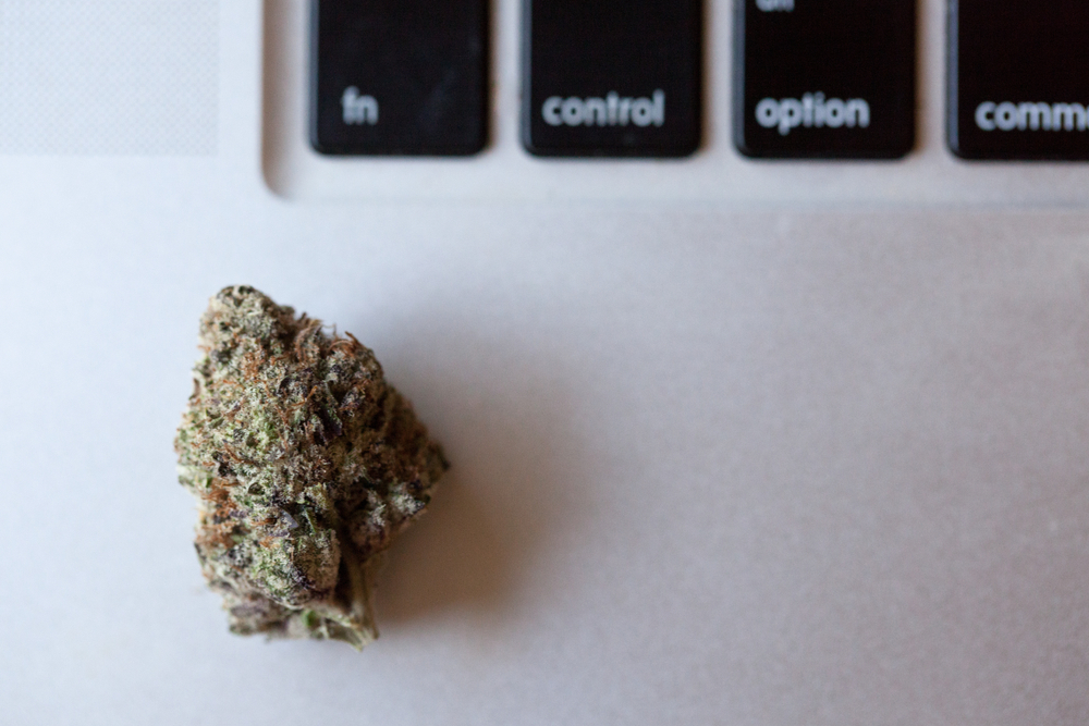 What is the best Marijuana strain for productivity?
