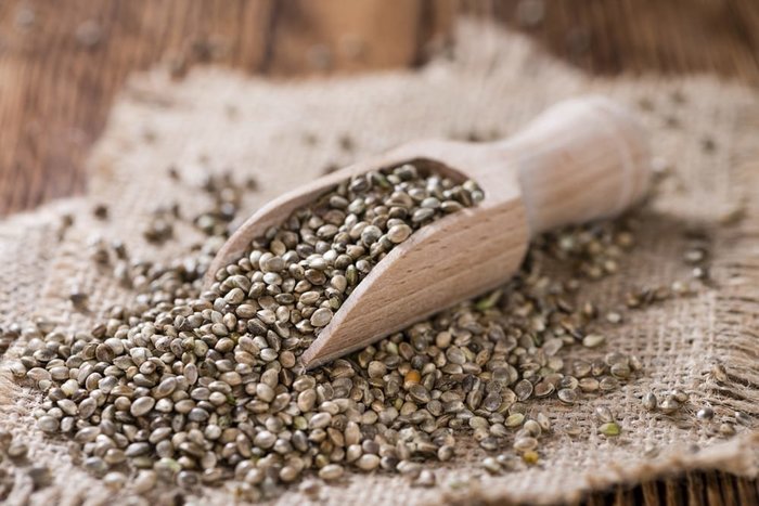 How to Grow Hemp: A Pratical Guide to Hemp Farming | Leafbuyer