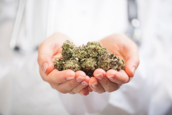 Downtown Chicago Medical Marijuana Dispensaries to Visit | Leafbuyer