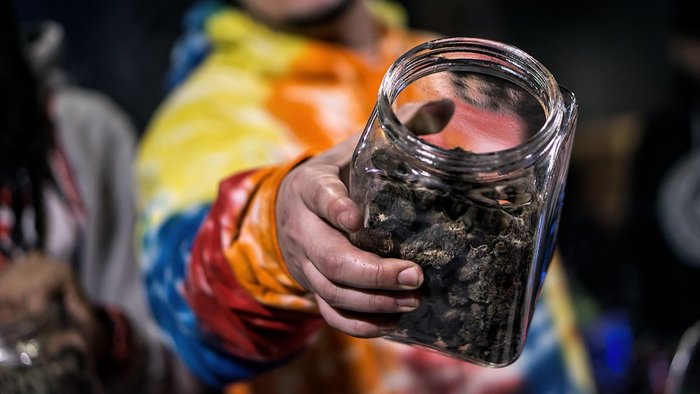 The list of 10+ Weed that smells like cat pee 3 Does Weed Go Bad? That Depends on a Few Things | Leafbuyer