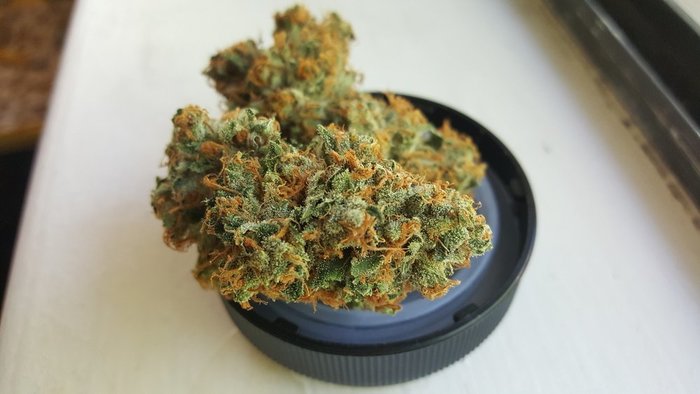 Missouri Marijuana - The Weed Blog