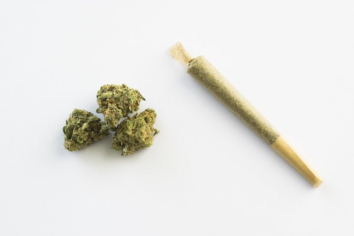 cone joint and bud