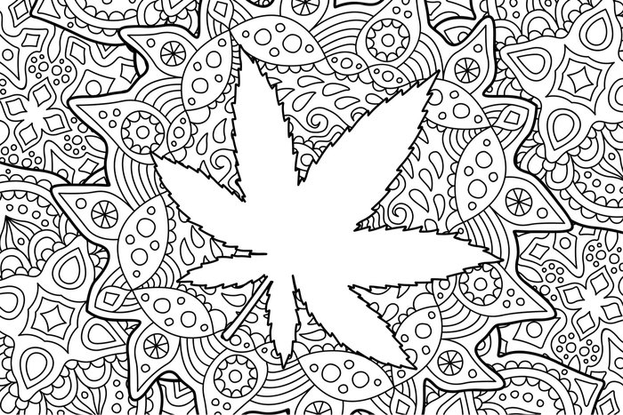 Psychedelic Coloring Book For Adults: Relaxing Adult Coloring Book for  Stoners(pages 40) (Paperback)