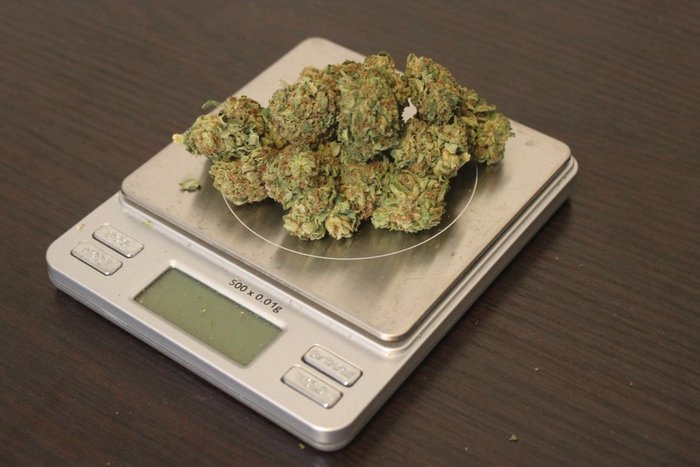 What Is A Zip Of Weed Leafbuyer