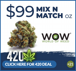 World of Weed 4/20 Hot Deal