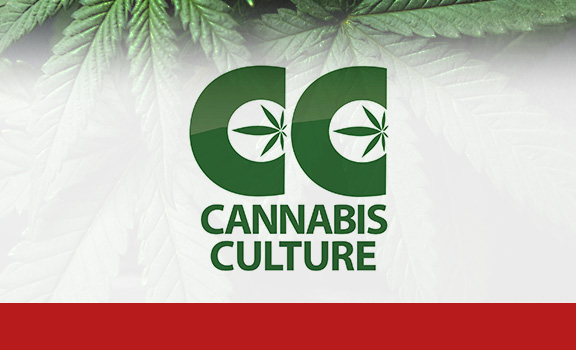 Cannabis Culture