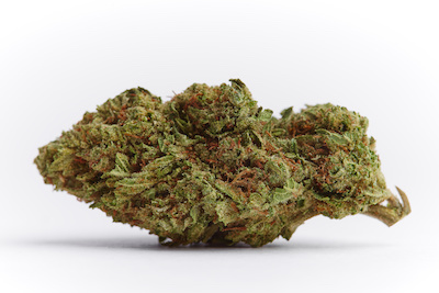 Flower deal image