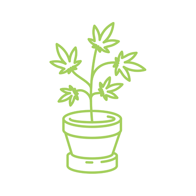 Seeds/Clones deal image