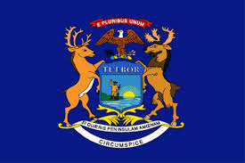MI state flag