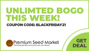 Premium Seed Market