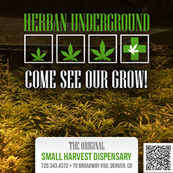 HerbanUnderground