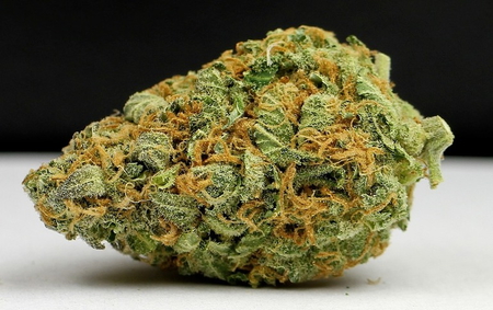 Agent Orange Weed Strain Information Leafbuyer