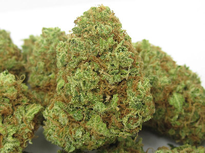 Amnesia Lemon image