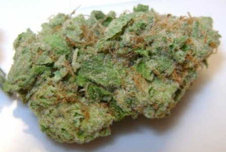 Blueberry Skunk image