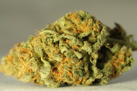 Bubba Diesel image