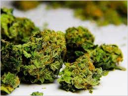 Candy (Kandy) Kush image