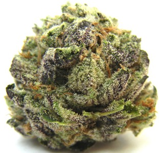 Cataract Kush image