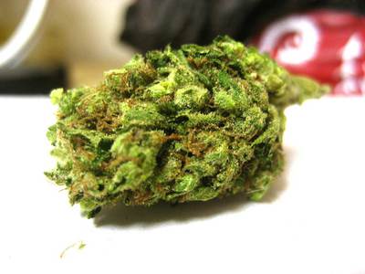 Buy (AAA+) Chemdawg Weed Strain – Flash Buds