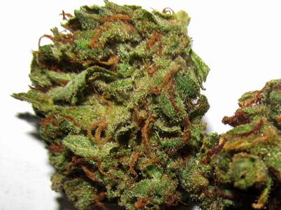 Critical Haze image