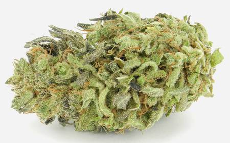 Strain Corner: Durban Poison #2