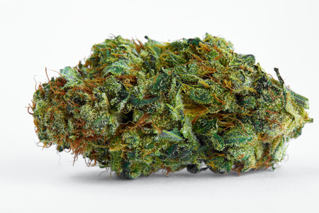 Dutch Treat image