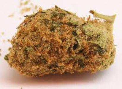 Golden Jamaican Kush image