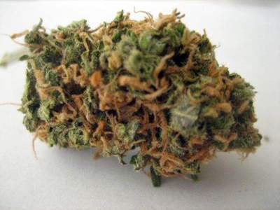 Grape Kush image