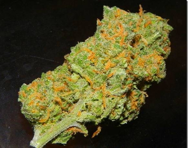 Green Crack image