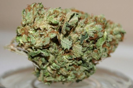 Holy Grail Kush image