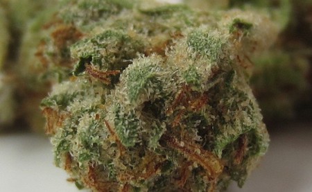 Kosher Kush image