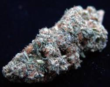 Kush Berry image