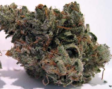 LA Confidential image