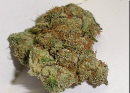 Lemon Lime Kush image