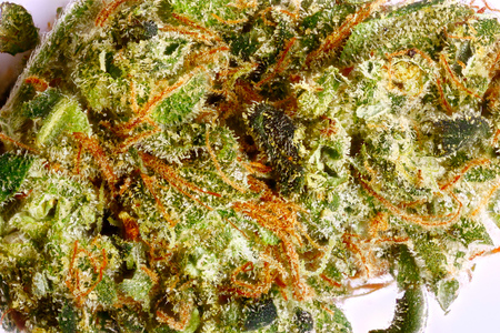 NY Kush image