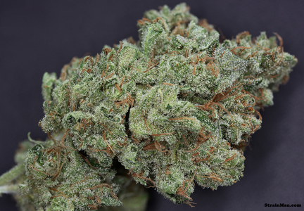 OG Ghost Train Haze image