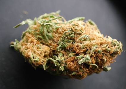 Orange Kush image