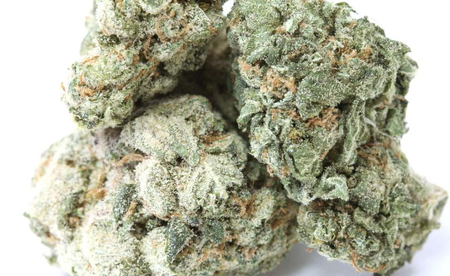 Pineapple Kush image