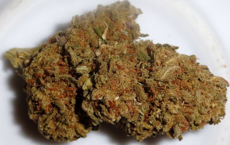 Pure Kush image