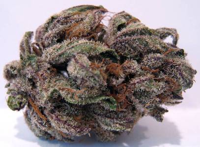 Purple Bubba Kush image