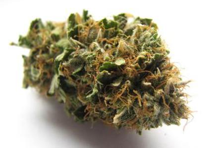 Raspberry Kush image