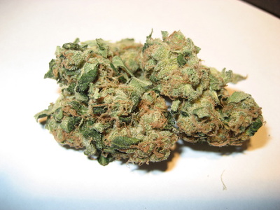 Sour Diesel image