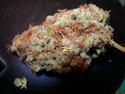 Strawberry Diesel image