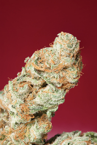 Strawberry Kush image