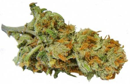 Super Lemon Haze image