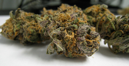 Urkle OG image