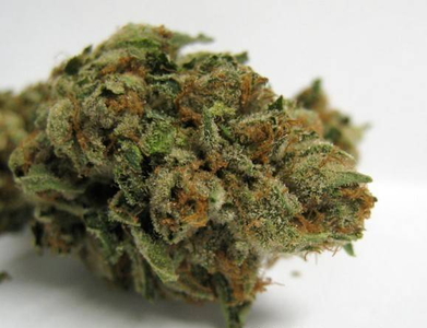 Venom OG image