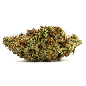 Violator Kush image