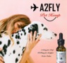 A2Fly photo