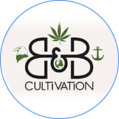 B&B Cultivation Top Dispensary