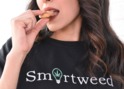 Smartweed photo